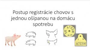 Postup registrácie chovu ošípaných. 1