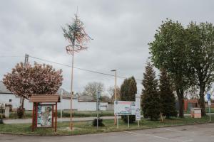 Stavanie mája 30.04.2025 o 17.00 hodine 1
